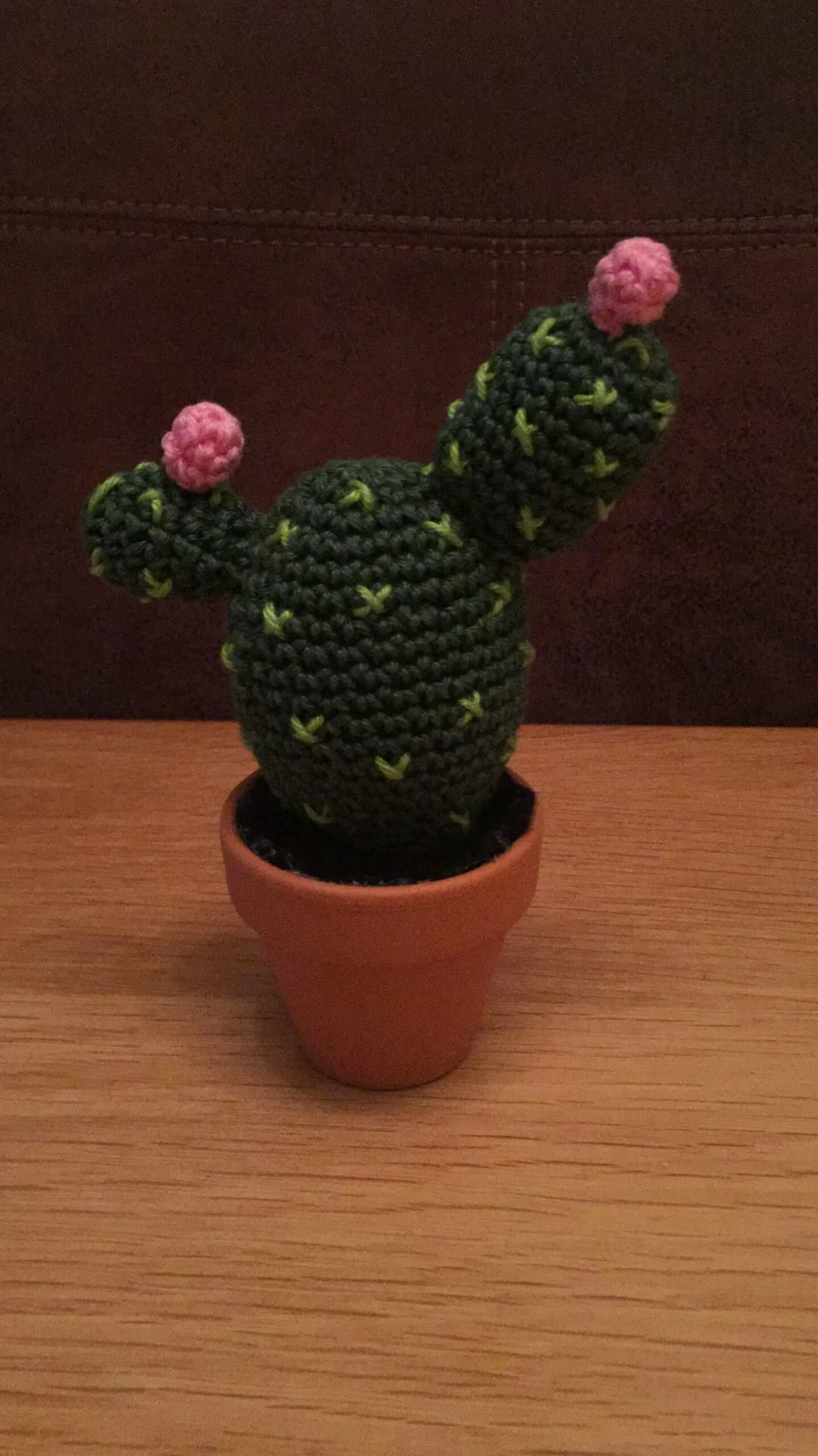 Cactus