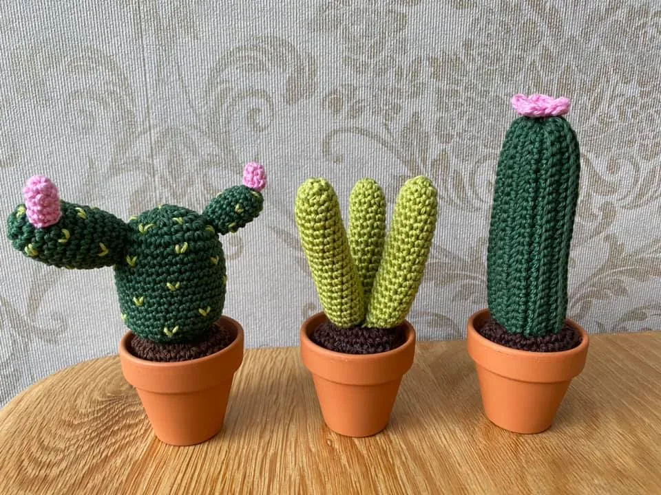 Cactussen
